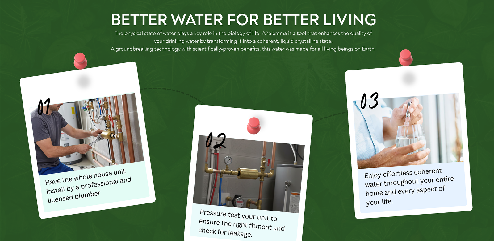 Whole House Analemma - aplus4 desktop