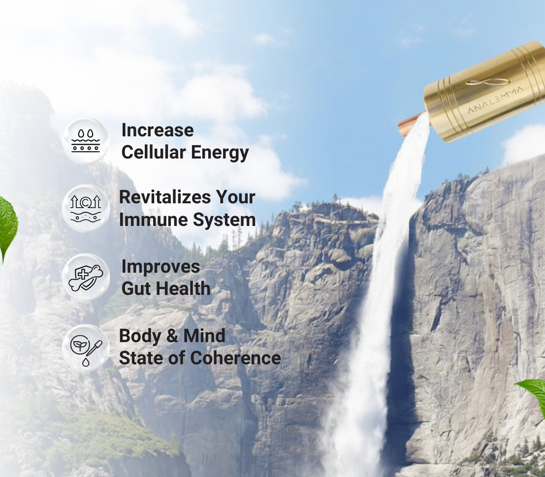 Whole House Analemma - aplus2 mobile