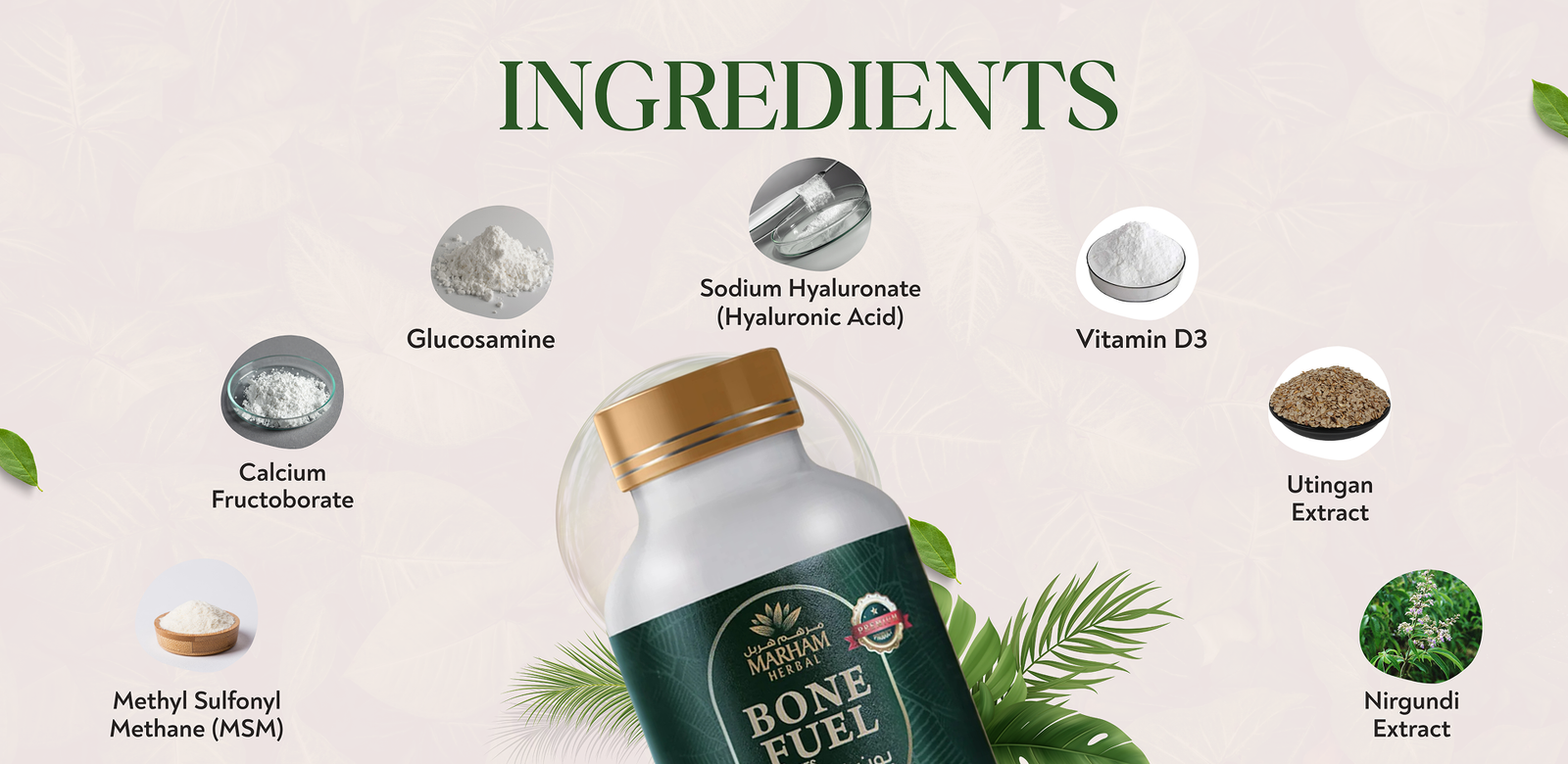 Bone Fuel Tablets - aplus1 desktop